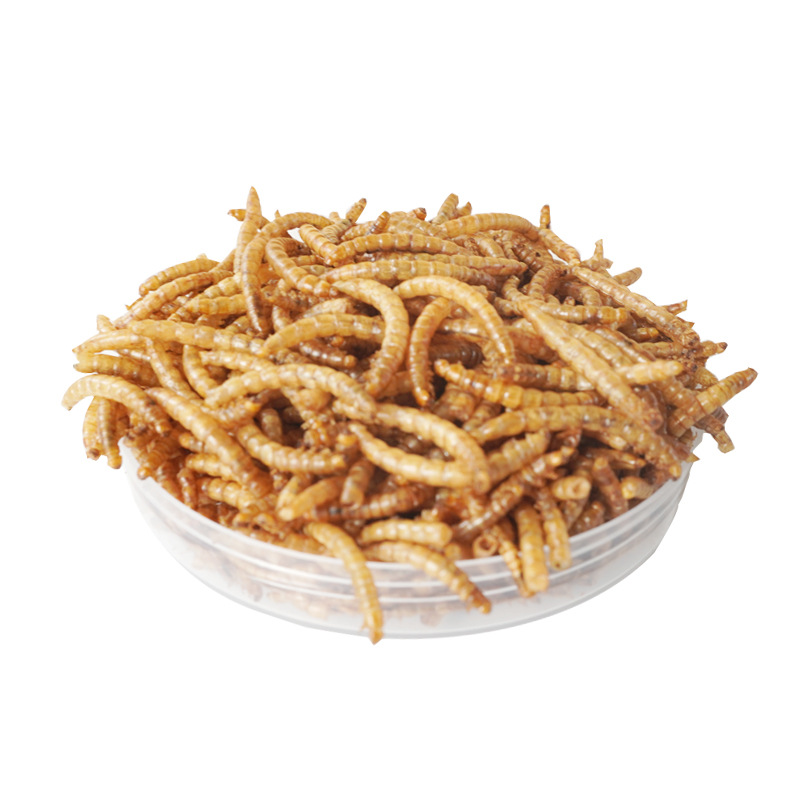 Food Snacks With Protein - 고단백 간식 햄스터 사료 새 고슴도치