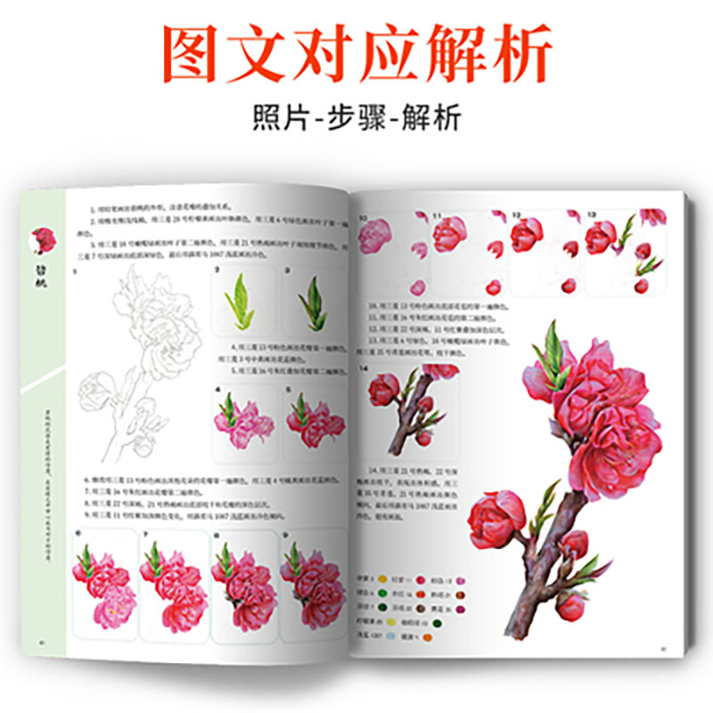 제로 베이직 과학 페인팅 드로잉 북의 실용적인 컬러 리 - Food And Snacks Coloring Book 리뷰 및 가격