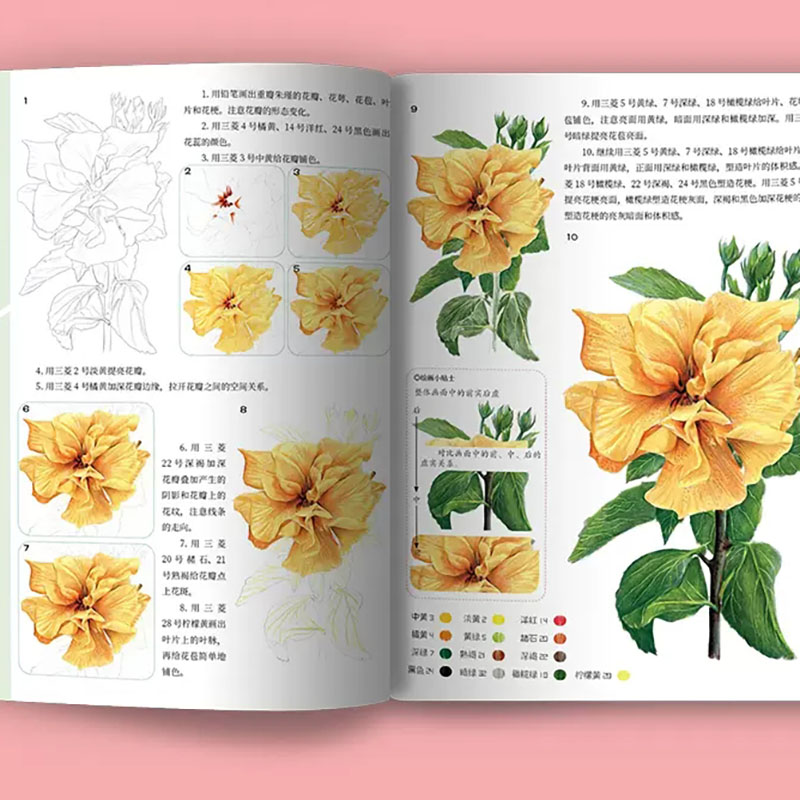 제로 베이직 과학 페인팅 드로잉 북의 실용적인 컬러 리 - Food And Snacks Coloring Book 리뷰 및 가격