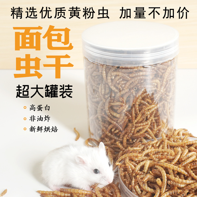 고단백 간식 햄스터 사료 새 고슴도치 기니피그 아로와나 - Food Snacks With Protein 리뷰 및 가격