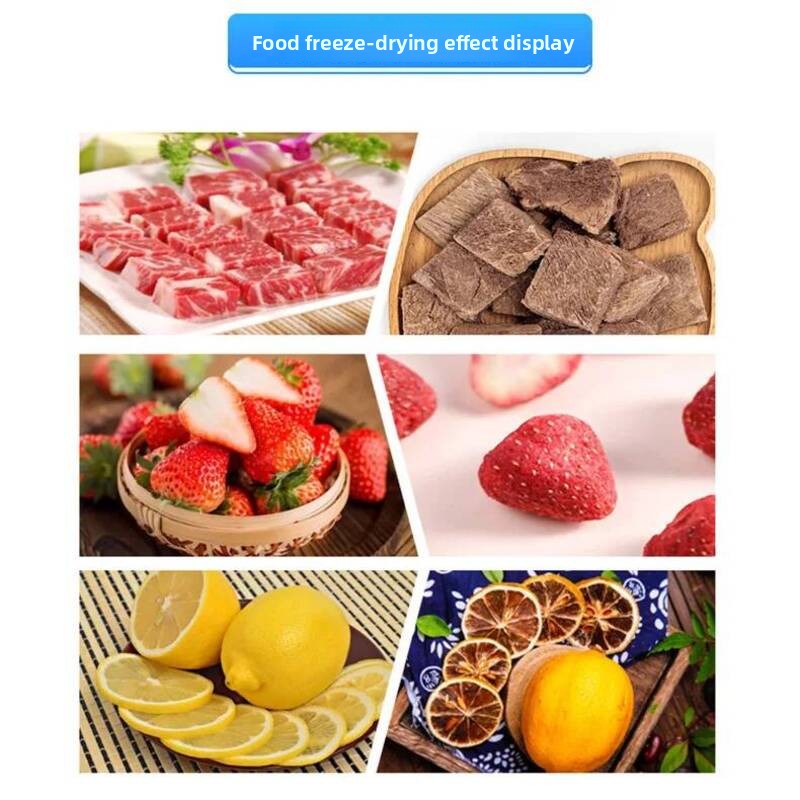 진공 식품 과일 상업용 및 가정용 소형 동결 건조기,  - Food And Snacks 리뷰 및 가격